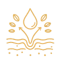 rajeunissement facial
